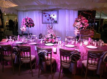 Vivianne Decor Nunta Craiova