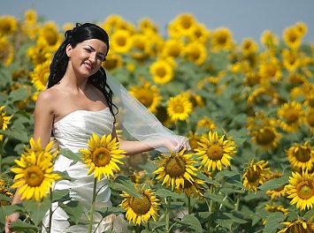 Foto Studio Enigma Nunta Craiova